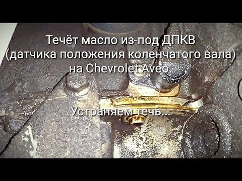 Течёт масло из-под ДПКВ (датчика положения коленчатого вала) на Chevrolet Aveo. Устраняем течь...