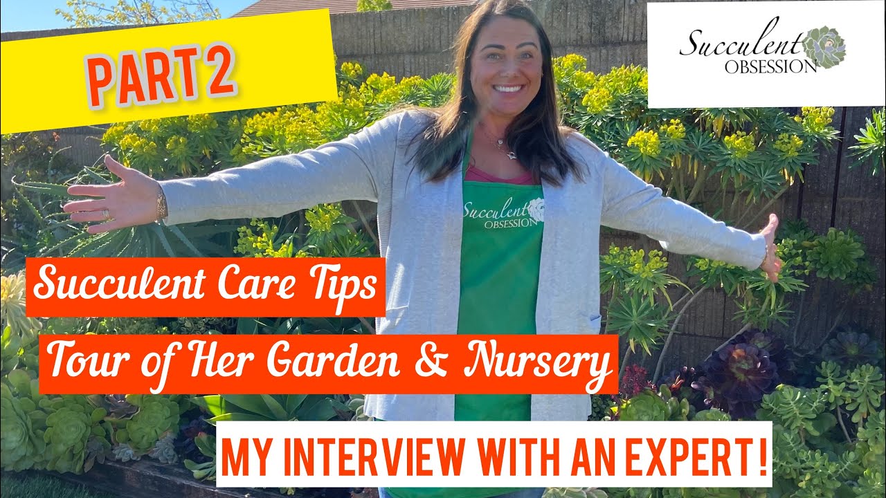 Part 2: TOUR of Home Garden & Succulent Nursery with Succulent Obsession