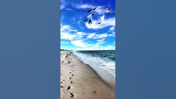 سوره فاتحه برای آرامش و شفا