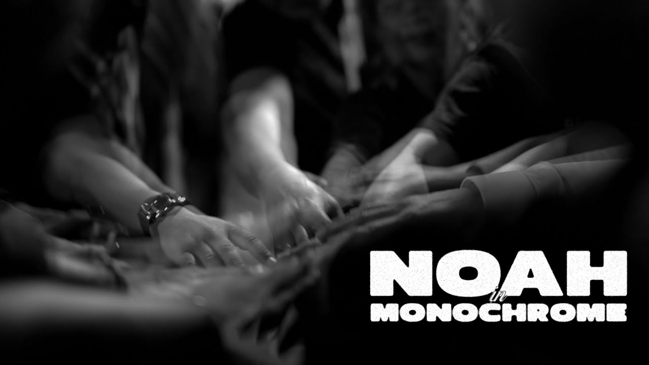 NOAH IN MONOCHROME
