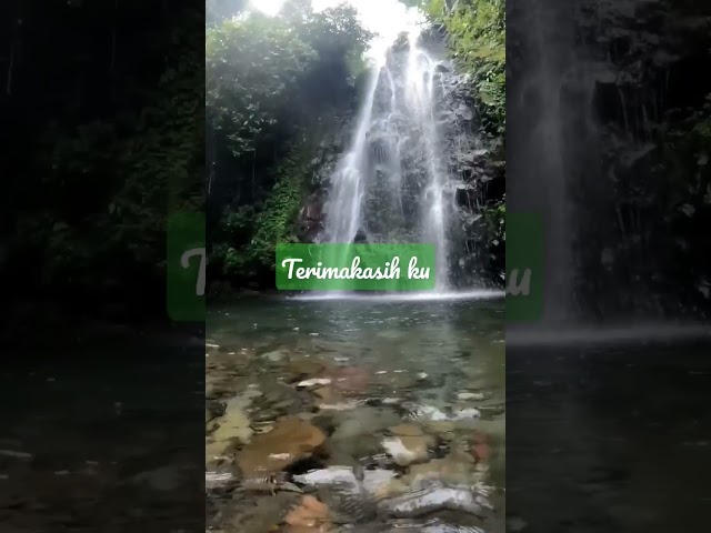 Curug ciampea2 Bogor #shorts #shortsmusicvideo class=