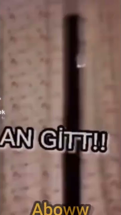 evi cinler bastı😂