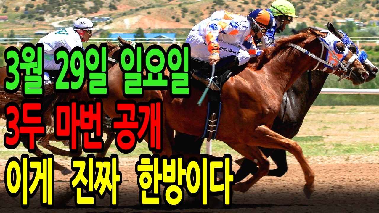 3월 29일 일요일 경마~조교 현장에서 포착한 '한방'의 증거들, 오늘 사고 칠 말은 정해졌습니다ㅣ승전경마  l 경마 l 경마예상 l 코리아레이스 l 검빛경마 ㅣ경마정보