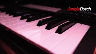 GOYANG PIANO JUNGLE DUTCH TERBARU - TEST INTRO