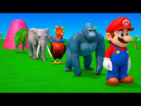 Long Slide Game With Cow Elephant Gorilla Hippopotamus Tiger 3d Animal Game Funny 3d Animals