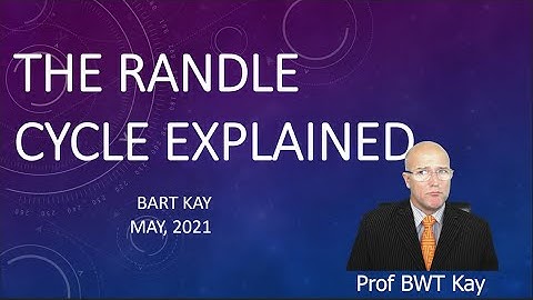 The Randle Cycle - Why You Should NOT Eat a "Balanced" Diet !!!