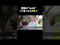 日本語の”かわいい”とは違う英語の”cute”⚠️そもそもかわいいってどう言う意味やったっけ?笑笑#英会話 #英語学習 #海外留学