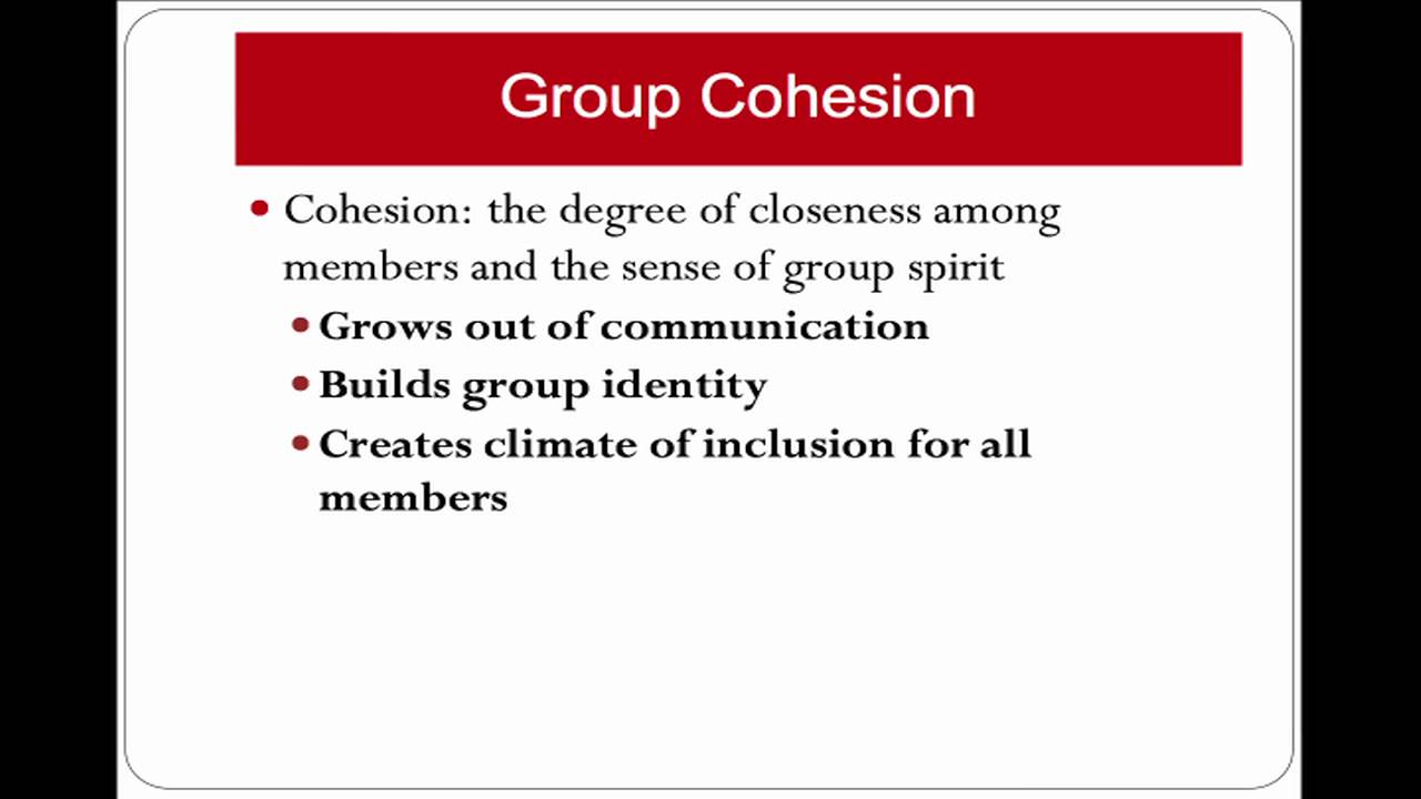What is Group Cohesion?