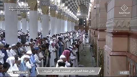 صلاة الفجر للشيخ أ.د. #محمد_برهجي الثلاثاء 4 صفر 1447هـ من سورة الأنفال 20-40 #المسجد_النبوي 