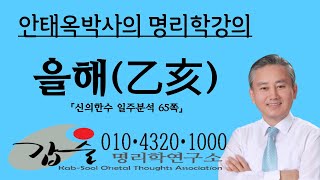 을해(乙亥)일주분석-(신의한수 일주분석)-갑술명리학-안태옥박사의 명품강의