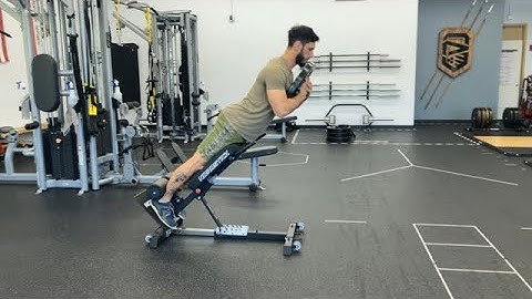Weighted 45 Degree Back Extension / Roman Chair Back Extension
