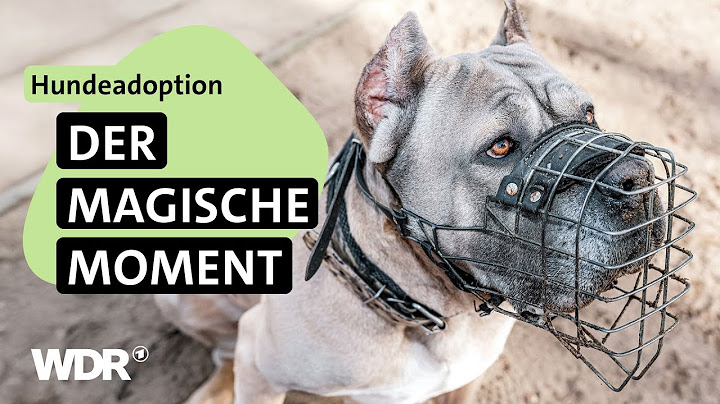 Mensch und Hund: Eine besondere Verbindung | S04/E01 | Hallo Tierheim! | Folge 1 | WDR