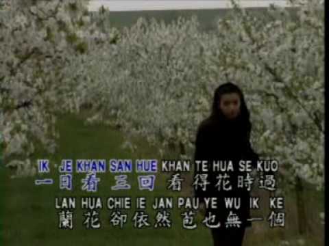 Timi Zhuo - Lan Hua Cao (Karaoke Edition)