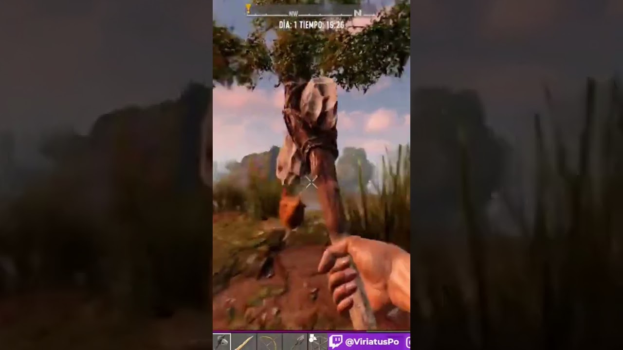 La gallina subacuática