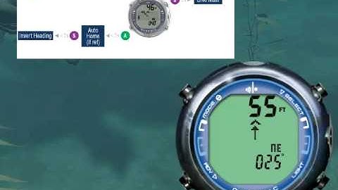Oceanic OC1 Compass Mode