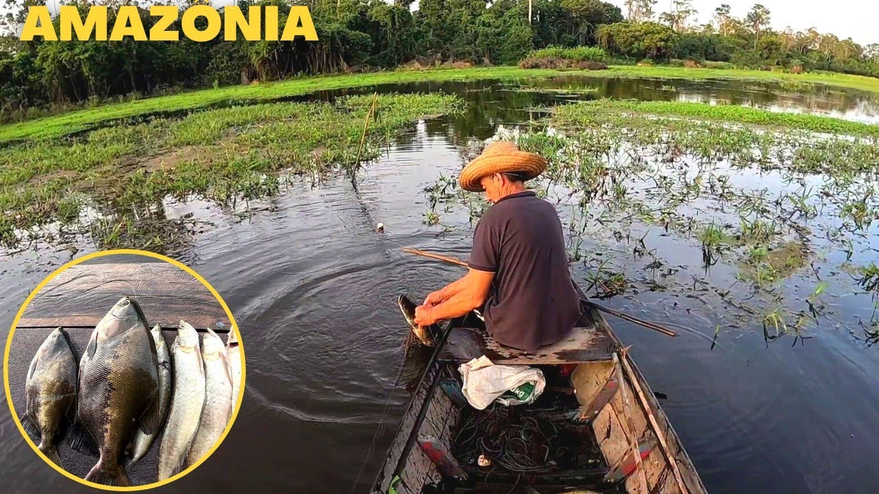 Pescaria de PIRARUCU TAMBAQUI ARUANÃ e TUCUNARÉ com MALHADEIRA e ZAGAIA na minha comunidade SAPUCAIA