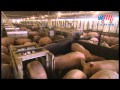 U.S. Pork - Sustainable Pork Production
