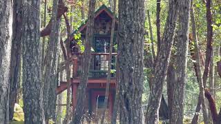 228 Ling Cod Lane on Magical Mudge Island 228 Ling Cod Lane on Magical Mudge Island