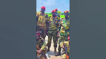 Tiger SSPDF South Sudan 