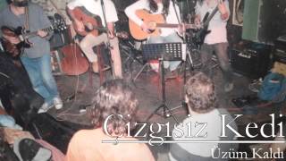 Çizgisiz Kedi - Üzüm Kaldı