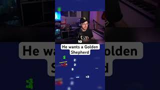 He likes dogs #aviamasters #planegame #gaming #prophet #streamer