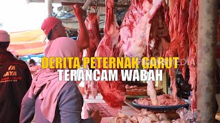 Download Lagu DERITA PETERNAK GARUT TERANCAM WABAH | INDONESIAKU (18/02/25) Part 1 MP3