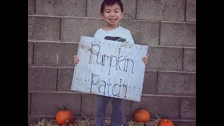 Connor Brighton Pumpkin Patch (October 2016)
