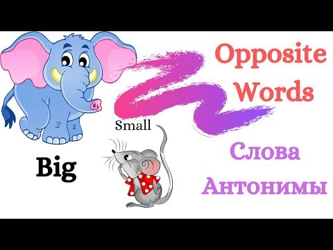 Слова антонимы на английском/ Opposite words