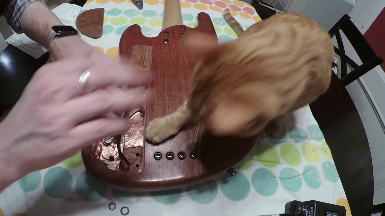 Bass Surgery Preview YouTube