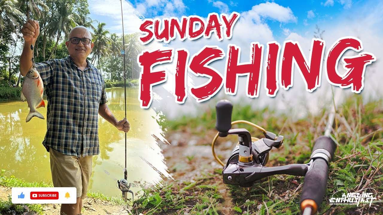 FISHING ON SUNDAY (IN GUWAHATI ASSAM) FUN FISHING PACU FISHING POND FISHING YouTube