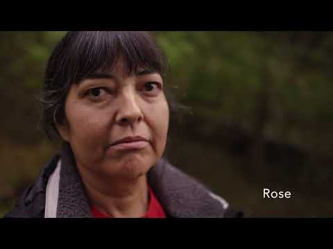 Birth of a Family Trailer