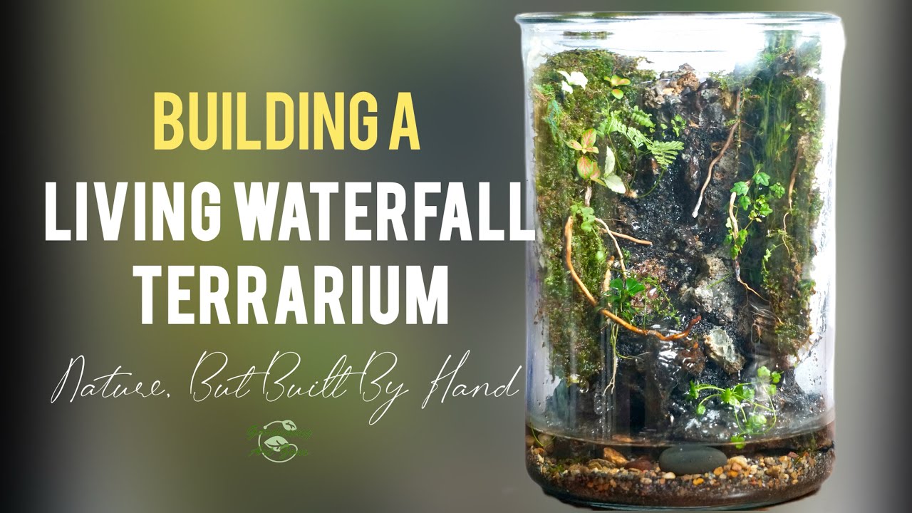 I Built a Real Waterfall Terrarium From Scratch - YouTube