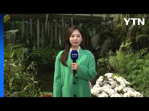 [<strong>날씨</strong>] 맑고 쌀쌀한 주말...<strong>강원</strong> <strong>영동</strong> 많게는 15cm 이상 눈 / YTN