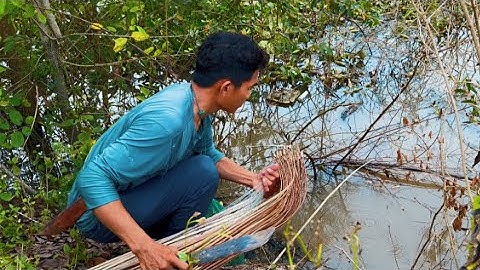 Cắm Câu Đêm Vùng Biên Giới Trúng Bầy Cá Lóc Dính Liên Tục Kiểu Này Không Mê Sau Được