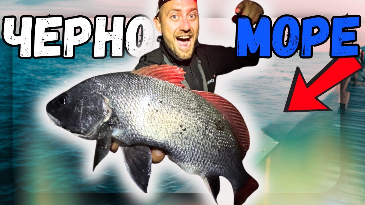 „ЧЕРНО МОРЕ ИЗБУХНА! Шокиращ улов на МОРСКА ВРАНА!“