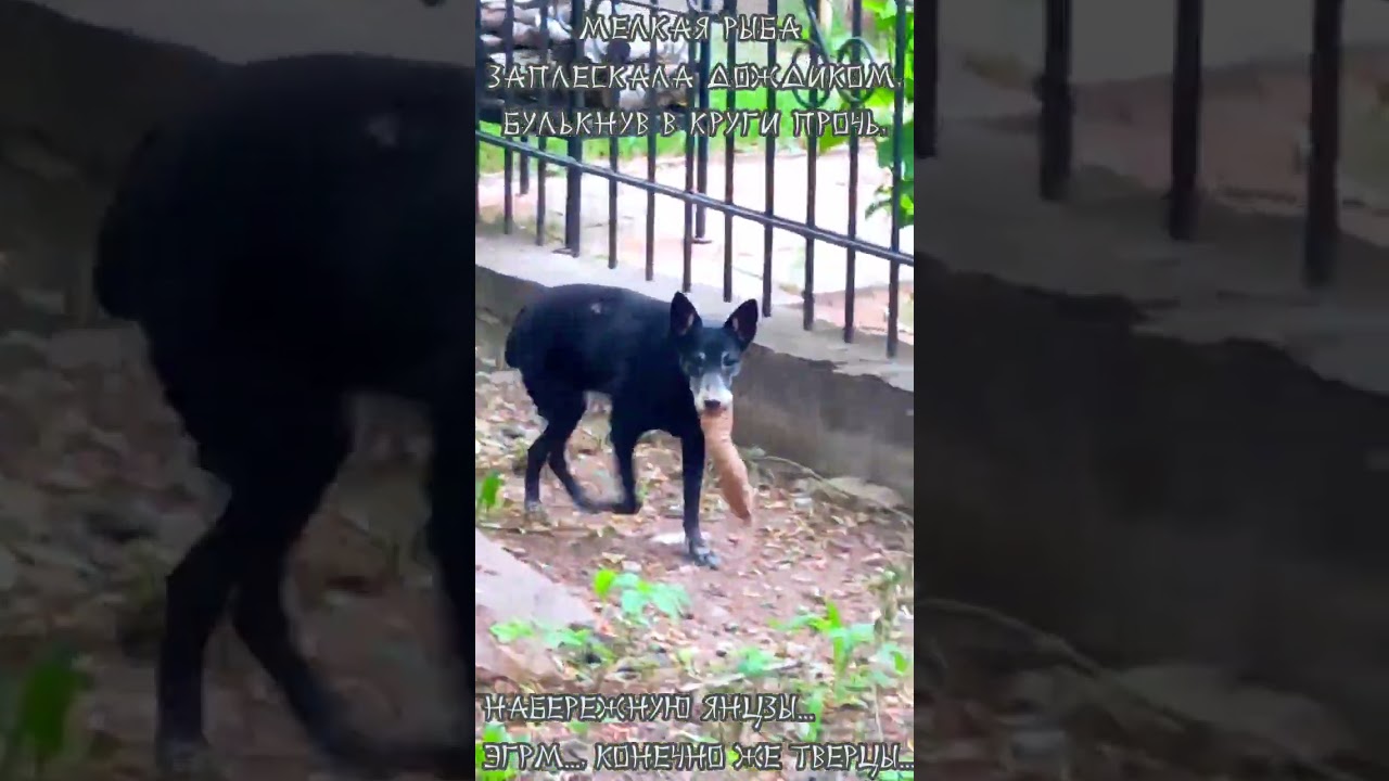 "Stop this sound", song "Kuon". 久遠