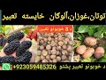 د 8 خوبونو تعبیر پشتو      