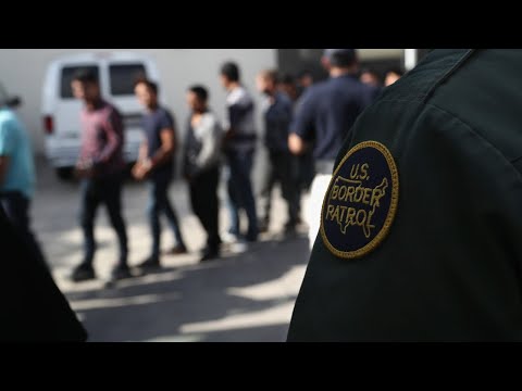 Hidden Immigration Judge Rating 2023 New York Catalog - oc8u6h0