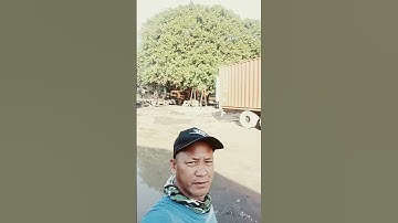 #youtube #short#video trailer container empty holding area short short video