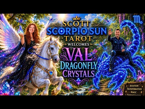 LIVE WITH VAL DRAGONFLY CRYSTALS