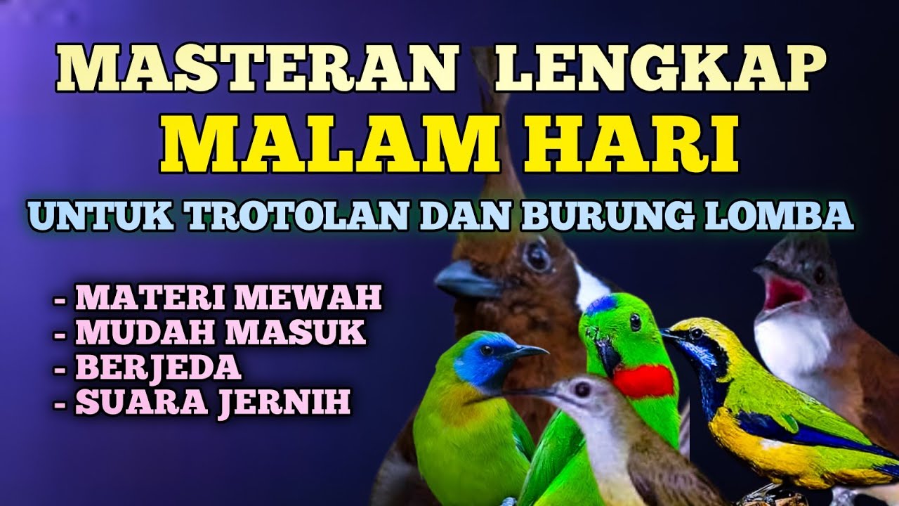 2 jam masteran lengkap untuk trotol dan burung lapangan kombinasi mewah mudah masuk