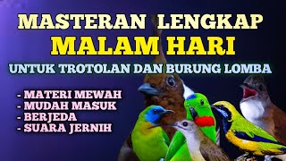 2 jam masteran lengkap untuk trotol dan burung lapangan kombinasi mewah mudah masuk