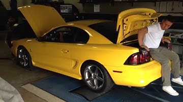 SN95 Mustang 347 Stroker with On3 Turbo Kit // Dyno Pull