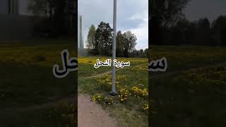 Surah Al Nahel #viral #shorts #short @LooLooKids
