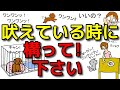【犬 しつけ 無駄吠え】吠えている時に構った方がいいんです!新!遠藤エマチャンネル【犬のしつけ@横浜】