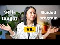 Selftaught vs guided program careerfoundrys data analytics program review