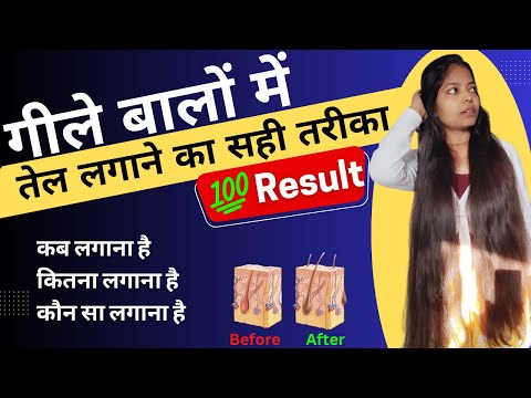 गीले बालों में तेल लगाने के फायदे || Gile balo me oil lgane ke fayde || Balo me tel kb lgana chahiye