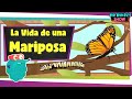 LA MARIPOSA Y SU CICLO DE VIDA | Educativos para niños | Documentales en español