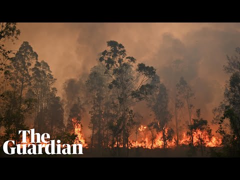 &#039;Fire, fire bloody everywhere&#039;: state of emergency declared for NSW fires