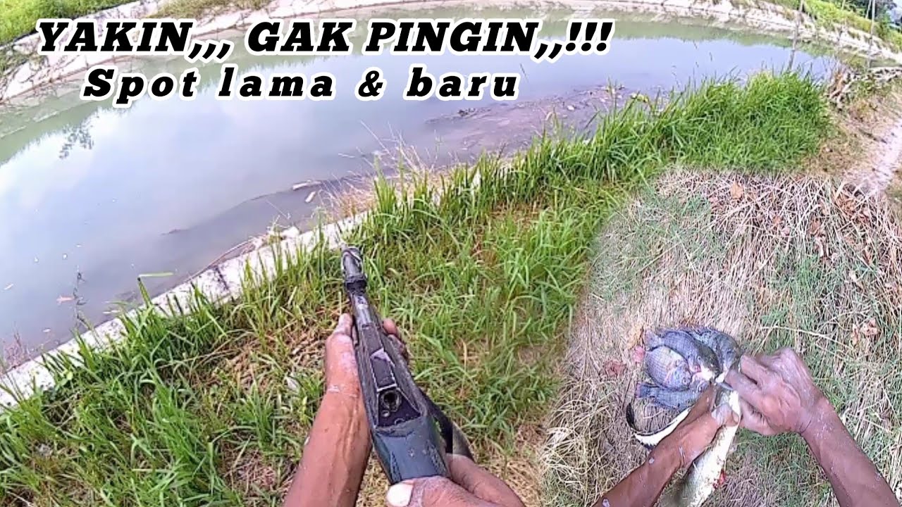 PASER IKAN// SPOT BARU PENUH KEJUTAN #paserikan #pasermania